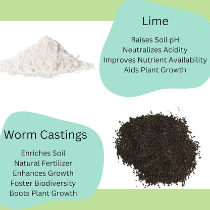 Tropical House Plant Potting Mix (2 Quarts); for All Types of Indoor House Plants