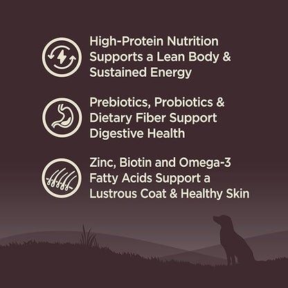 Wellness CORE Dry Dog Food, Grain Free, High Protein, Natural, Lamb Recipe, (4-Pound Bag)