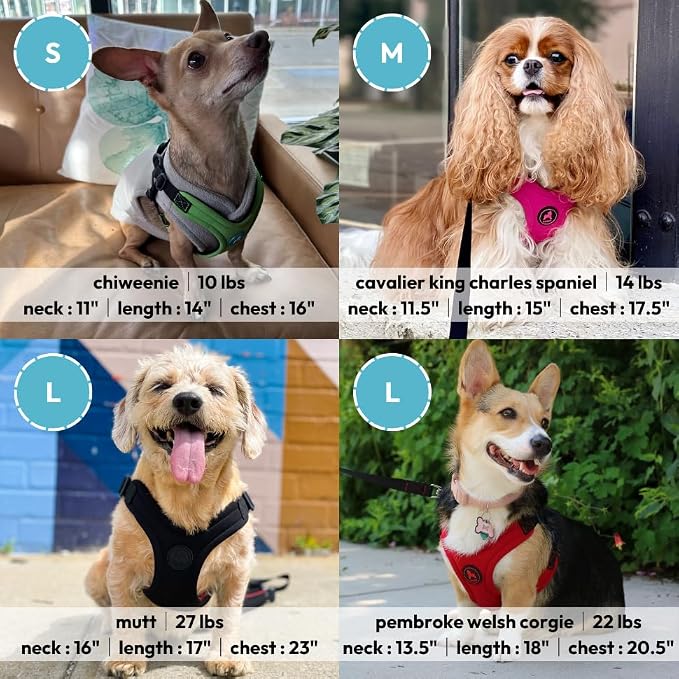 Gooby, Dog Harness, Sporty, Large, Red - Escape Free Sport Harness with Patented Neoprene Technology, 4-Point Adjustment, No Choke, Perfect for Small Dogs No Pull | Patented escape-free frame; Reduces choking; 4-point adjustment; Soft neoprene padding;...