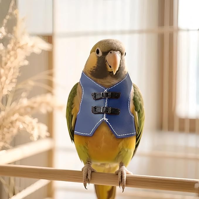 Bird Clothes, Parrot Leather Jacket, Cute Bird Costume Cosplay Photo Prop, Parrot Apparel for Eclectus, Budgerigar, African Greys Parakeet, Conure, Cockatiel, Love Birds-Cowboy Style,Blue,L