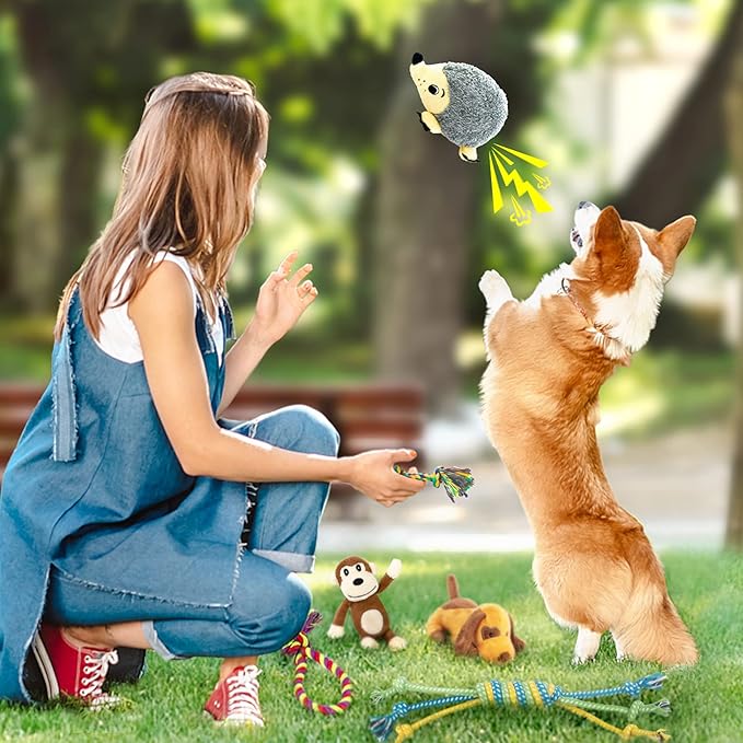 LEGEND SANDY Puppy Toys, Squeaky Dog Toys for Small Dogs, 12 Pack Puppy Chew Toys for Teething, Dog Rope Toy and Cute Stuffed Animals Value Bundle