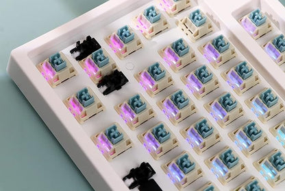 EPOMAKER Gaming Keyboard Switches, 35 PCS, Linear/Tactile Switch, 5-Pin Pre-Lubed Switch, Creamy Switches, Compatible with MX Keycaps for Mechanical Keyboard (Budgerigar, Tactile)