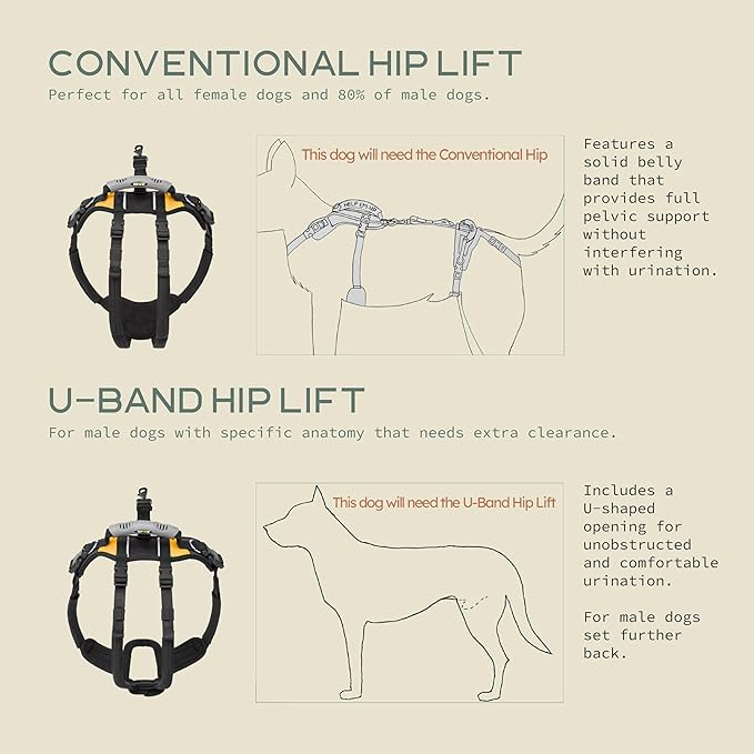 Help 'Em Up® - Dog Lift Harness│ Adjustable Lifting Harness for Dogs │ Full Body Support, Rear Leg Support (Conventional, XL, 125-225 lbs)