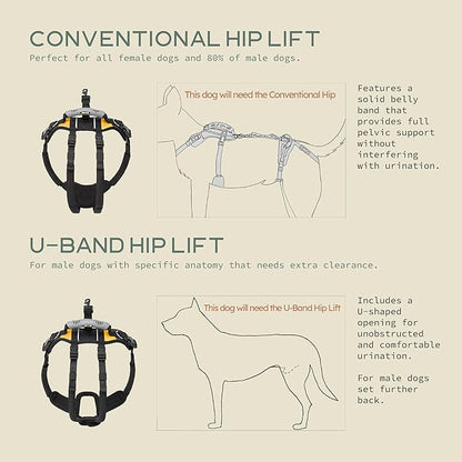 Help 'Em Up® - Dog Lift Harness│ Adjustable Lifting Harness for Dogs │ Full Body Support, Rear Leg Support (Conventional, XL, 125-225 lbs)