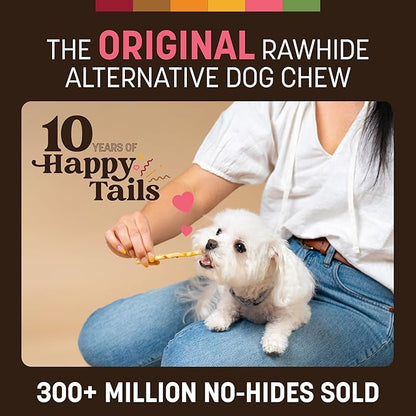 Earth Animal No Hide Stix - Long Lasting Rawhide Free Small Dog Chews Sticks, Salmon - 40 Count Extra Value Pack
