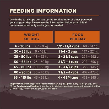 Wellness Natural Pet Food Wellness CORE Wholesome Grains Original Recipe, 24 Pound Bag