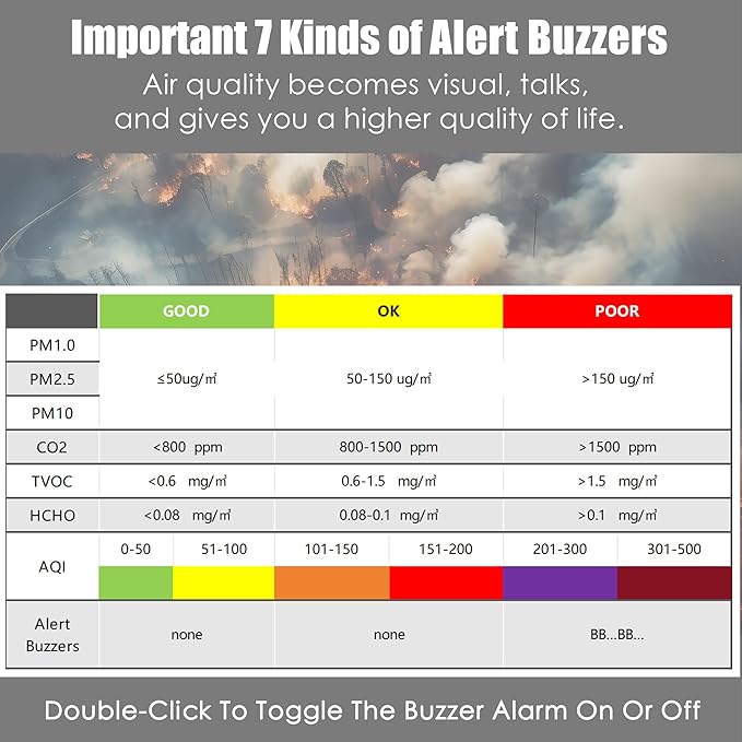 Professional Indoor Air Quality Monitor