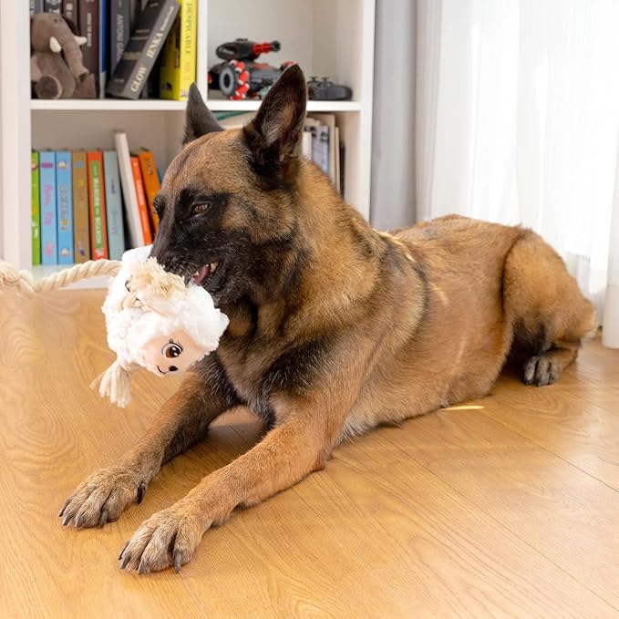 Large Dog Squeaky Toys, Stuffed Animal Dog Chew Toy, Durable Plush Toy for Puppy, Small, Middle, Large Dogs