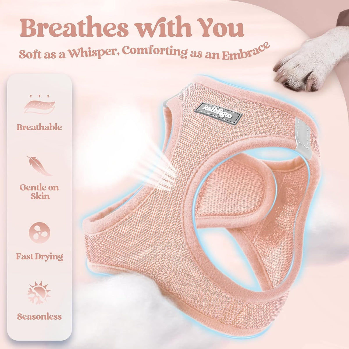 rabbitgoo Dog Harness Small Medium Sized and Leash Set, Step in Soft Light Puppy Vest, Breathable Mesh Pet Harness, Reflective for Safe Outdoor Walking, Pink L