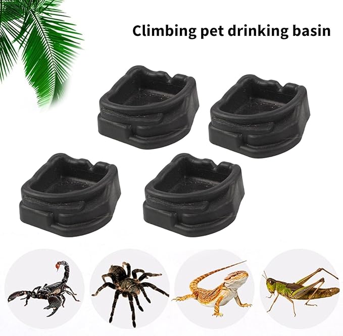 Transparent Arachnid Water Bowl 4pcs, Small for Reptiles Invertebrates, Shallow Bioactive Habitat Transparents Reptiles Container