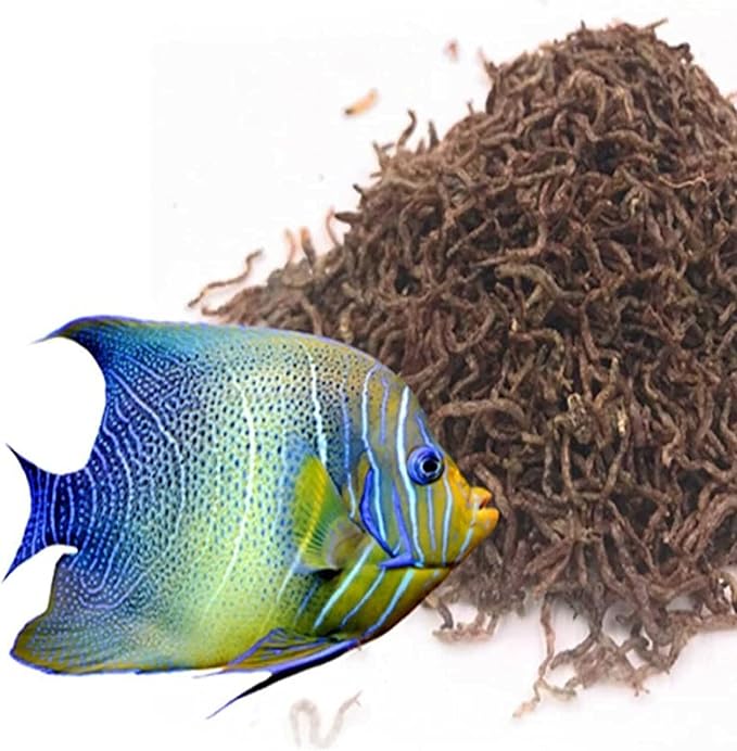 Aquatic Foods Inc. Bloodworms, Freeze Dried Grade A Fresh Floating Bloodworms for All Tropical Fish, Bettas, Discus, Cichlids, Community Fish, Turtles, Carnivore Tropical Fish - 4-lbs