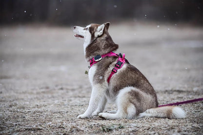 TRUE LOVE Adjustable No-Pull Dog Harness Reflective Pup Vest Harnesses Comfortable Control Brilliant Colors Truelove TLH5651(Fushcia,XL)