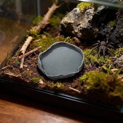 1 PCS Spider Micro Water Bowl Jumping Spider Feeding Dish Tarantula Water Dish for Millipede Gecko Lizard Tarantula Tiny Reptiles (2.17" D, 0.31" H) Coffee