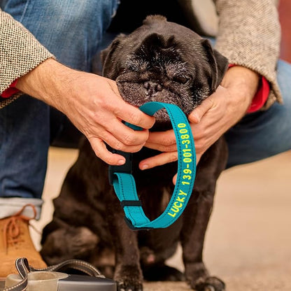 Personalized Embroidered Dog Collar - Custom Hand-Stitched Name & Number, Reflective Adjustable Pet Collar for Small/Medium/Large Dogs & Cats, Durable Nylon with Steel D-Ring (Navy Blue, Medium)