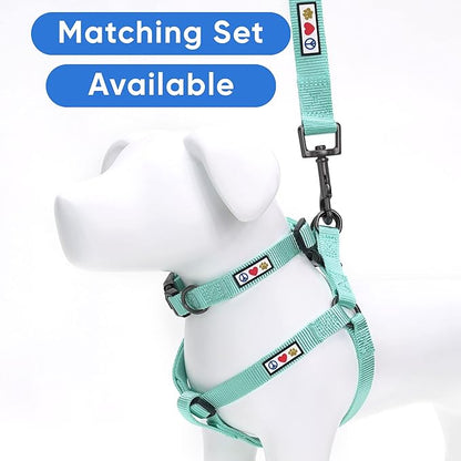 Pawtitas Personalized Dog Leash Embroidered Customize with Your Pet Name & Phone Number Puppy 6 ft Long Extra Small Teal Custom Engraved, Customized 2XS (Pack of 1)