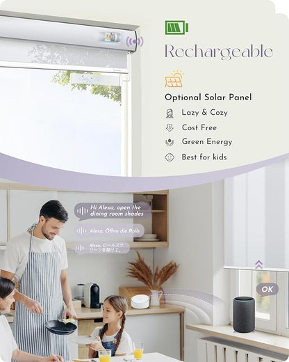 Graywind Motorized Light Filtering Shades Compatible