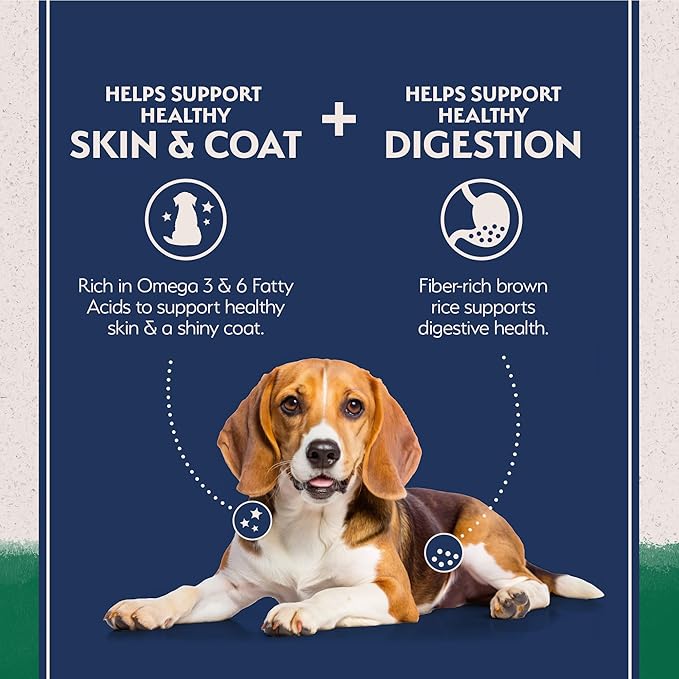 Natural Balance Limited Ingredient Adult Dry Dog Food with Healthy Grains, Lamb & Brown Rice Recipe, 24 Pound (Pack of 1)