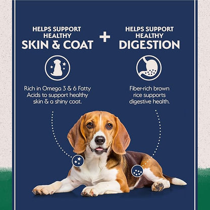 Natural Balance Limited Ingredient Adult Dry Dog Food with Healthy Grains, Lamb & Brown Rice Recipe, 24 Pound (Pack of 1)