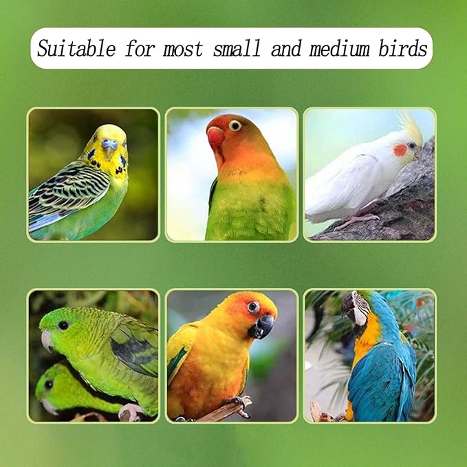 Automatic Acrylic Bird Feeder for Cage, No Mess - Small Bird Parrots, Canary, Parakeet, Budgerigar, Crested Myna, Cockatiel (XL)
