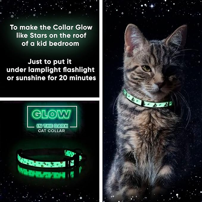 Pawtitas Glow in The Dark Cat Collar Set of 2 with Safety Buckle and Removable Bell Cat Collar Kitten Collar Blue Cat Collar + Orange Cat Collar