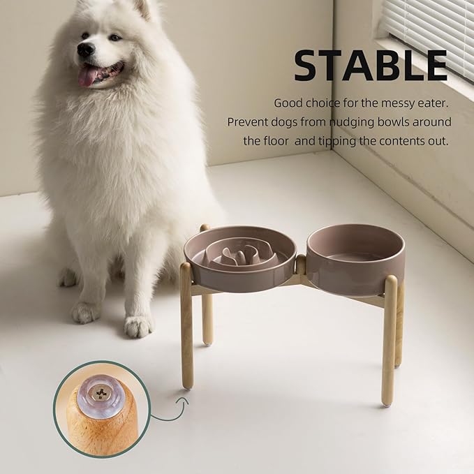 3.2 Cup Ceramic Raised Slow Feeder Dog Bowl Set, Elevated 8.2inch Bowl and