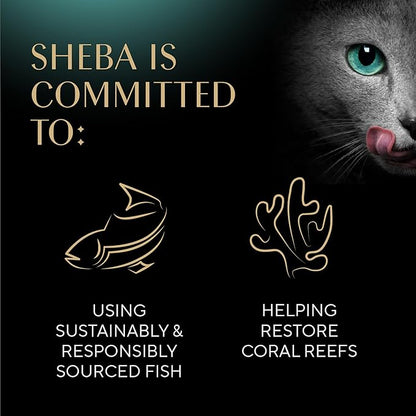 Sheba Gravy Indulgence Adult Wet Cat Food Chicken Entree in Extra Gravy, 2.6 oz. Twin-Pack Trays (24 Count, 48 Servings)