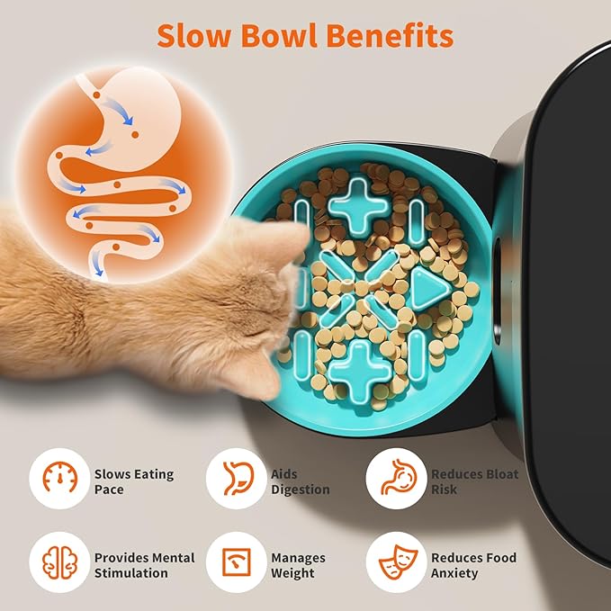 HoneyGuaridan Automatic Cat Feeder