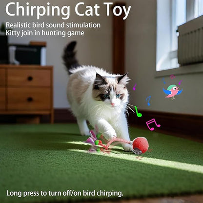 Tiny Fetch Dog Toy - Interactive Dog Toys, 360°Smart Automatic Rolling Electric Dogs Ball Toy with Birdsong, Automatic Obstacle Avoidance, Rechargeable, Boredom Relief for Dogs & Cats (Red*1+Blue*1)