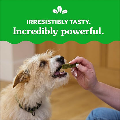 Greenies Teenie Dental Dog Treats, Blueberry Flavor, 12 oz. Pack (43 Treats)