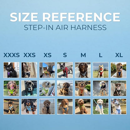 Best Pet Supplies Voyager Step-in Air Harness - All Weather Mesh, Reflective, No Pull Harness for Dogs, Cats - Secure with Hook & Loop Fastener, Buckle, Double D-Rings - Royal Blue, XXXS
