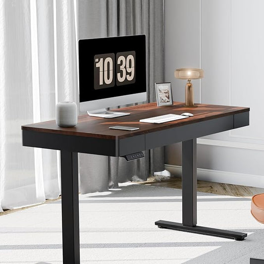 FLEXISPOT Q5 Standing Desk