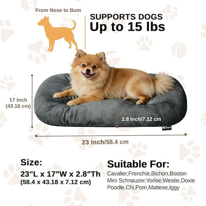 Washable Oval Small Dog Bed, Silver-Tipped High-Resilience, Dark Gray | Non-Slip Bottom Prevents Sliding,Soft Plush Short Fur,Machine Washable Cushion,Ideal for Crates & Small Spaces,23"x17"x2.8"