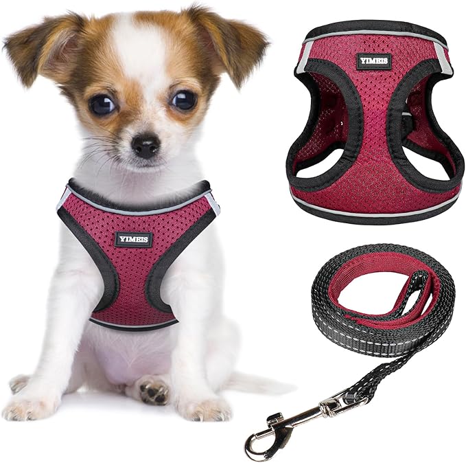 YIMEIS Dog Harness and Leash Set, No Pull Soft Mesh Pet Harness, Reflective Adjustable Puppy Vest for Small Medium Large Dogs, Cats (Grape Purple, X-Small (Pack of 1)