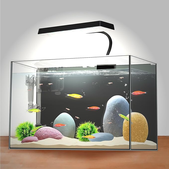 3 Gallon 12.6” L Fish Nano Glass Aquarium, with Separator Plate for Betta, Multi-Functional Square Fish Tank with Filter, LED Light, Black 4mm Glass