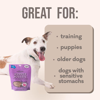 Polkadog Wonder Nuggets – Soft & Chewy Dog Treats with Pork & Apple – Healthy, Limited Ingredient Training Treats for All Dog Breeds and Ages – Natural, Made in USA – 10 oz