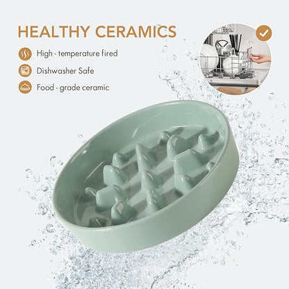 Ceramic Raised Slow Feeder Dog Bowl Set, Elevated 7.3inch Bowl and 8.2inch Slow