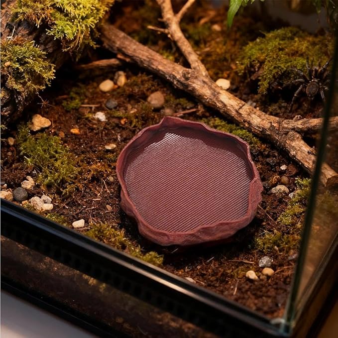 1 PCS Spider Micro Water Bowl Jumping Spider Feeding Dish Tarantula Water Dish for Millipede Gecko Lizard Tarantula Tiny Reptiles (2.17" D, 0.31" H) Coffee