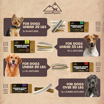 peaksNpaws Premium All-Natural Grade A Split Elk Antlers for Dogs – Naturally Shed in The Rocky Mountains – No Additives, No Preservatives - Healthy and Delicious Treat - Made in USA - M/L Split