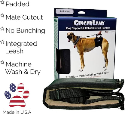 Dog Support Harness, Rear End Lift Sling, Tall Male, Made in USA | Fits Tall, Lean Dogs like Greyhounds or Great Danes, Padded Mobility Aid, Help Pets Walk or Balance, Machine Wash & Dry