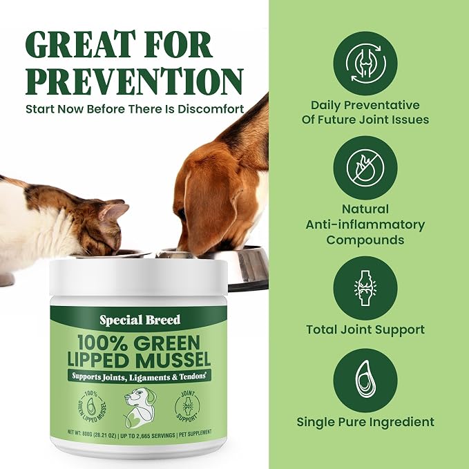Green Lipped Mussel Powder for Dogs & Cats - 100% New Zealand Green Lipped Mussels - Natural Hip & Joint Supplement for Joints, Tendons, Ligaments, Muscles - 800 Grams - Up to 2,665 Servings