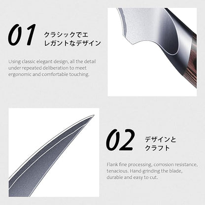HOSHANHO Fillet Knife 9 Inch, Super Sharp Boning Knife in High Carbon Stainless