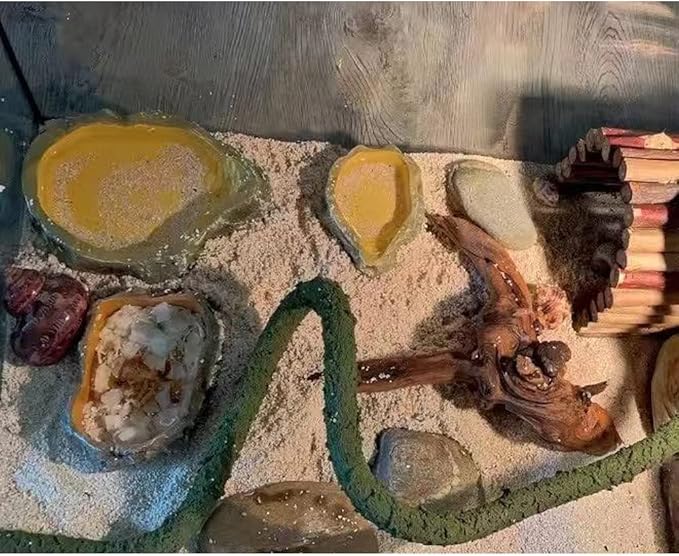 Reptile Water Dish,Resin Reptile Rock Food Feeder Bowl, Water and Food Bowl,Terrarium Decor for Leopard Gecko, Lizard,Spider,Turtle,Scorpion, Chameleon,Hermit Crabs (L, Yellow)