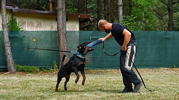 Dingo Gear French Linen tug Toy for Dog, Bumper Toy for Training, Agility, tug of war, bite Pillow for Strong Dog, 2handles 18in Blue S00067
