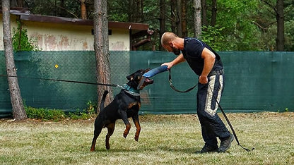 Dingo Gear French Linen tug Toy for Dog, Bumper Toy for Training, Agility, tug of war, bite Pillow for Strong Dog, 2handles 18in Blue S00067