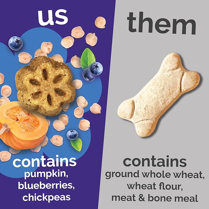 Fruitables Skinny Mini Dog Treats, Healthy Pumpkin Treat for Dogs, Low Calorie & Delicious, Puppy Training, No Wheat, Corn or Soy, Made in the USA, Pumpkin and Berry Flavor, 5oz