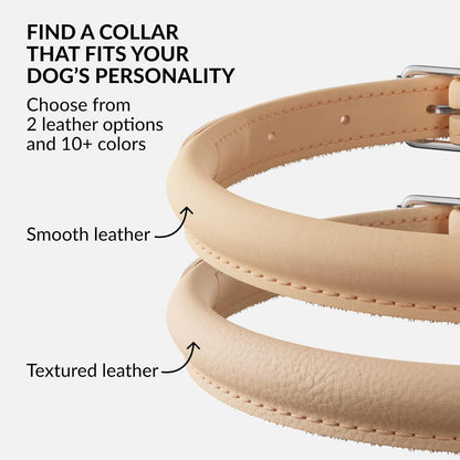 CollarDirect Rolled Leather Dog Collar, Soft Padded Round Puppy Collar, Handmade Genuine Leather Collar Dog Small Large Cat Collars 13 Colors (8-11 Inch, Beige Smooth)