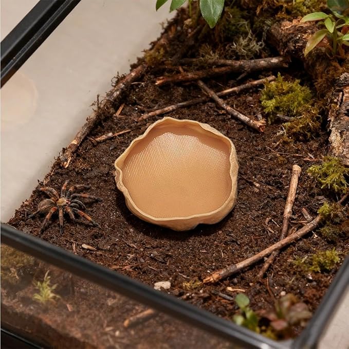 1 PCS Spider Micro Water Bowl Jumping Spider Feeding Dish Tarantula Water Dish for Millipede Gecko Lizard Tarantula Tiny Reptiles (2.17" D, 0.31" H) Coffee