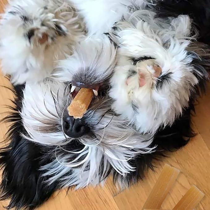 Himalayan Dog Chew Churro Yak Cheese Dog Chews, 100% Natural, Long Lasting, Gluten Free, Healthy & Safe Dog Treats, Lactose & Grain Free, Protein Rich, For All Breeds, Soft, Chicken Flavor, 4 Pack