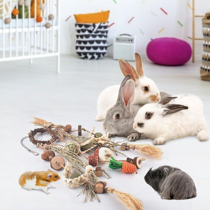 Bissap Bunny Chew Toy, Rabbits Cage Hanging Chew Toys and Treats Rattan Ring with Snacks Water Grass Wooden Block Carrot for Guinea Pigs Chinchillas Hamsters Rats and Other Small Pets Teeth Grinding