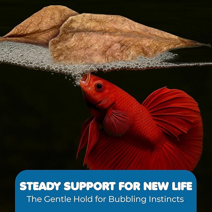 SunGrow 100 pcs Catappa Indian Almond Leaves for Betta Fish Tank Aquarium, 2” Water Conditioner Leaves, Leaf Also Suitable for Shrimp, Goldfish, Guppy and Frogs